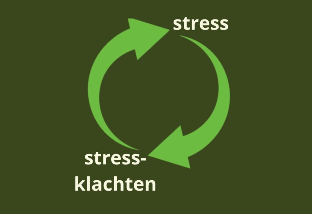 Stress over stressklachten – de vicieuze stresscirkel